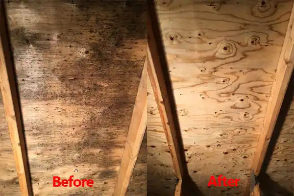 water damage restoration service Shakopee